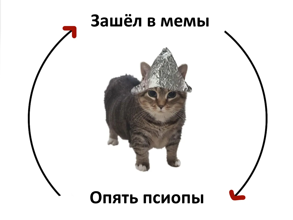 Мем с котом в шапочке из фольги. Текст: “Зашёл в мемы — опять псиопы.”